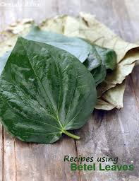 16 betel leaves recipes betel leaves