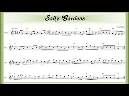 sally gardens you