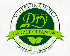 organic dry carpet and upholstery cleaning