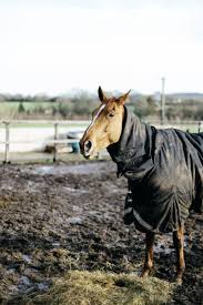 clean and waterproof horse blankets