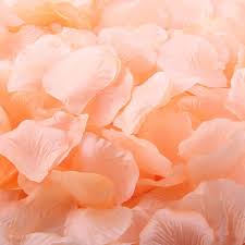 Maybe you would like to learn more about one of these? 500 Pcs Lot Peach Color Silk Rose Petals Artificial Decorative Flower Petals Wedding Party Decoration Festive Supplies Flower Petals Silk Rose Petalsdecorative Flowers Aliexpress