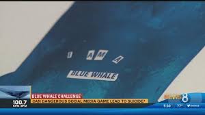 The blue whale challenge is an alleged 'internet/social media game' wherein the participants are given a series of tasks to complete over a period of time. Blue Whale Challenge Can Dangerous Social Media Game Lead To Suicide Cbs8 Com