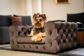 Luxury Dog Sofa Gift Dog Bed Pet