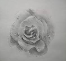With just a few simple shapes and strokes you will be drawing dozens of roses in no time. Discover How To Draw A Rose Step By Step Drawing Tutorial