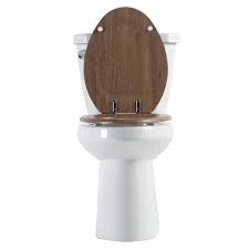 Bwe Elongated Wood Closed Front Toilet