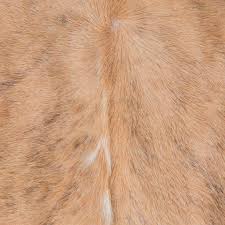 thenash cowhide rugs from loot als
