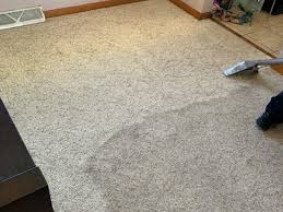 carpet cleaning in nw indiana free