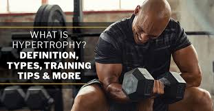 what is hypertrophy definition types