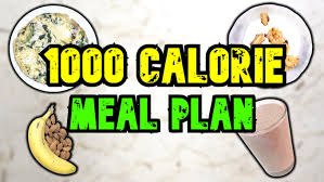 make you a 1000 calorie meal plan by