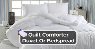 Quilt Comforter Duvet Or Bedspread