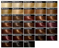 Garnier Hair Color Chart Hair Color Ideas And Styles For 2018