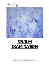 Sputum Examination