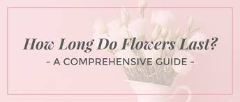 This makes an especially big difference during the summer or if your house refrigerate the flowers when away. How Long Do Flowers Last Comprehensive Guide Ode A La Rose