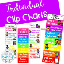 Individual Colorful Clip Charts