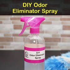 10 Creative Diy Odor Eliminator