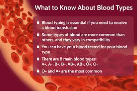 blood types main groups most common