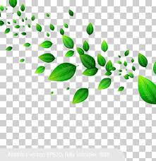 green leaves png images klipartz
