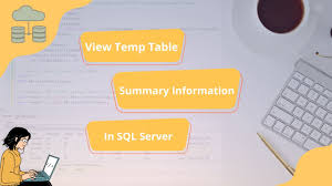 view temporary table summary