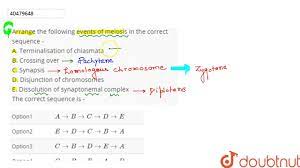 Arrange the following events of meiosis in the correct sequence - A.  Terminalisation of - YouTube