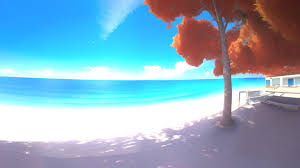 free hdri background realistic beach