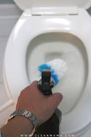 how to naturally clean a toilet clean