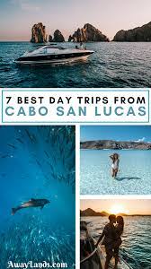 day trips from cabo san lucas mexico