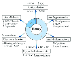 summary of honey composition and its