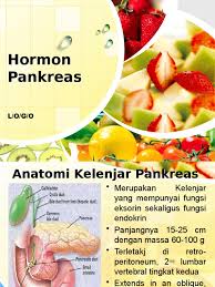 The same enzymes that help with digestion can sometimes injure the pancreas and the pancreas helps with fat digestion, so foods with more fat make the pancreas work harder. Hormon Pankreas