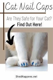 are nail caps safe for cats shed happens