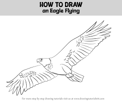 how to draw an eagle flying birds