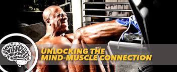 The Mind-Muscle Connection And Get Huge!