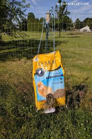 diy goat hay feeders diy danielle