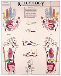 Reflexology Of The Foot Chart Poster Laminated Mind