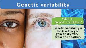 genetic variability definition and