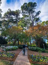 6 beautiful gardens in raleigh not to