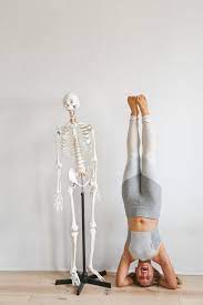 my yoga teacher training experience at