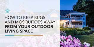 How To Keep Bugs Away From Your Outdoor