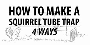 how to make a squirrel trap 4 ways
