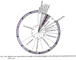 Phylum Arthropoda Features And Classification With Diagram