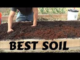 best soil for rasied garden bed you