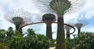 10 Conseils Pour Visiter Gardens By The Bay