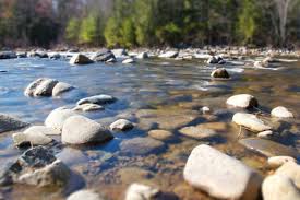 Imagen gratis: piedras de río, orilla, costa del río, río, rocas, árboles,  verano