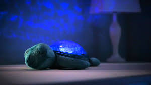 Tranquil Turtle Night Light And Sound Machine Magic Cabin Youtube