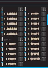 Mold Chart Porcelain Teeth