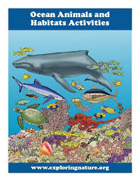 ocean s and habitats activity