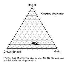 Tree Measurement Wikipedia