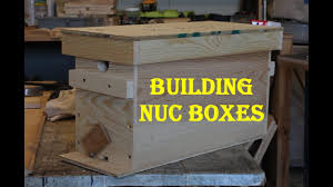 building nuc bo you