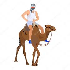 Riding dromedary camel (page 1). Young Man Traveler Riding Arabian Camel Dromedary Desert Animal Vector Flat Illustration Isolated On White Background Travel Desert Tour Welcome To Egypt Concept Premium Vector In Adobe Illustrator Ai Ai