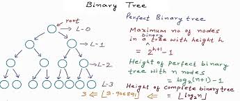 Perfect binary tree is a binary tree in which all internal nodes have 2 children and all the leaf nodes are at the same depth or same level. Data Structures Binary Tree Youtube