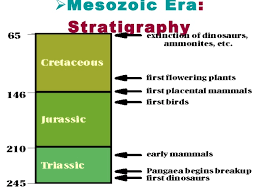Triassic Jurassic Periods